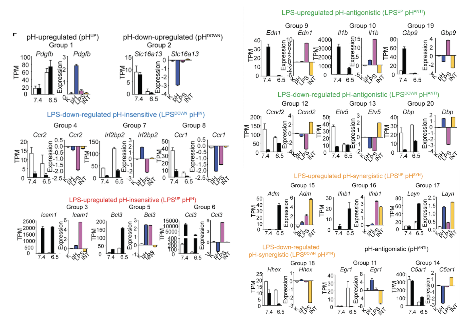 gene_expression_components