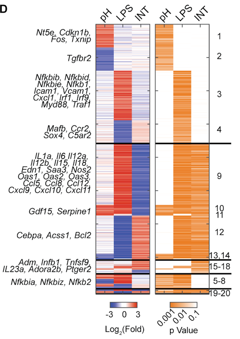 heatmap